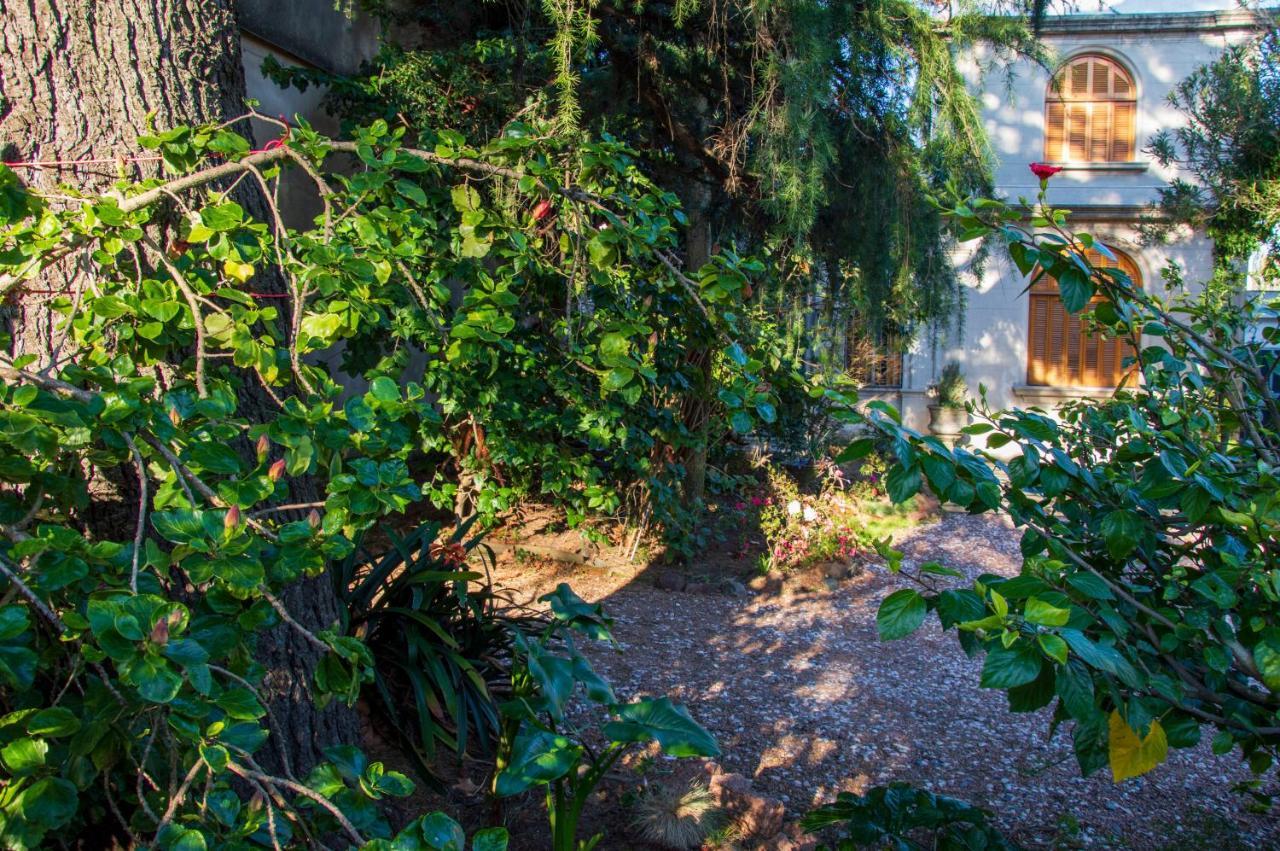 Cane B&B Montevideo Ngoại thất bức ảnh