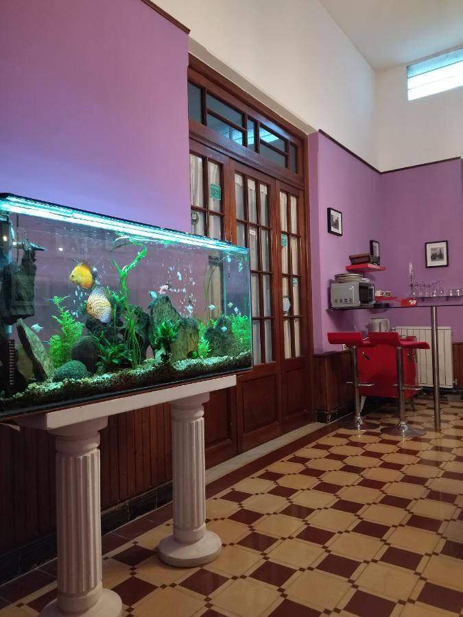 Cane B&B Montevideo Ngoại thất bức ảnh