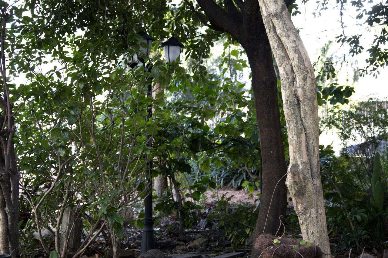 Cane B&B Montevideo Ngoại thất bức ảnh